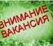 Foto в Работа Вакансии В торговую компанию требуется помощник руководителя.Требования:- в Москве 20 500