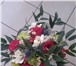Фото в В контакте Разное всегда свежие цветы в наличии и на заказвся в Костроме 500
