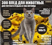 Foto в Домашние животные Товары для животных Компания «Ecodica.ru» - производитель ЭКОлогических в Москве 0