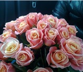 Фото в Домашние животные Растения Роскошные букеты из голландских роз от лучших в Красноярске 1 485