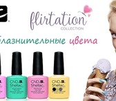 Изображение в Красота и здоровье Косметика Интернет магазин "Gel-Shellac ру" предлагает в Москве 950