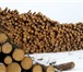 Foto в Строительство и ремонт Строительные материалы Продается лес круглый хвойных пород (сосна, в Москве 2 300