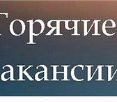 Изображение в Работа Вакансии Обязанности:
•Обработка водящих/исходящих в Саранске 15 000