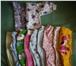 Foto в Для детей Товары для новорожденных Продам дет.вещи: шапочки, штанишки, боди, в Тольятти 300
