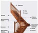 Фото в Строительство и ремонт Дизайн интерьера Изготовим лестницы любой сложности.Проектирование,монтаж.Все в Москве 23 000