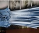 Фотография в Одежда и обувь Женская одежда Продается изумительное неординарное новое в Хабаровске 1 500