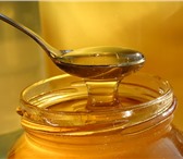 Фотография в Прочее,  разное Разное Продаю Цветочный мёд в Благовещенске 180