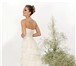 Фотография в Одежда и обувь Свадебные платья Продаётся очень нежное свадебное платье фирмы в Нальчике 30 000