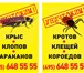 Изображение в Прочее,  разное Разное клопы фото , укусы клопов фотоИнсектицидные в Барнауле 1 000
