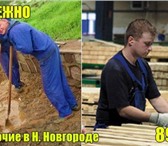 Фотография в Строительство и ремонт Разное Мы предоставляем персонал для различных работ:- в Нижнем Новгороде 200