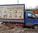 Изображение в Авторынок Транспорт, грузоперевозки Грузоперевозки Газель11м3,высота тента 1.85см в Красноярске 350