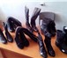 Изображение в Одежда и обувь Женская обувь В связи с закрытием магазина распродаем женскую в Москве 0