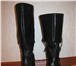 Фотография в Одежда и обувь Женская обувь Продам совершенно новые жен сапоги осень-весна, в Ульяновске 3 500