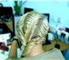 Foto в Красота и здоровье Разное Плету красивые косы разной сложности, вечерние в Новосибирске 600