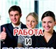 Требования: Внимательность Пунктуальност