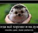 Фото в Красота и здоровье Массаж Классический,лимфодренажный,баночный,расслобляющий. в Рязани 900
