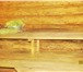 Фотография в Развлечения и досуг Бани и сауны Русская баня на дровах.2-х этажный сруб,гостевая,парилка,мойка,на в Перми 500