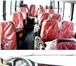 Foto в Авторынок Городской автобус Технические характеристики:Количество посадочных в Хабаровске 0
