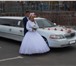 Изображение в Авторынок Аренда и прокат авто Заказ прокат и аренда лимузина в Оренбурге в Оренбурге 2 500