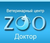 Фотография в Домашние животные Услуги для животных ветеринарный центр «ZOOДоктор»
круглосуточно в Москве 500
