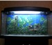 Изображение в Домашние животные Рыбки Аквариум для рыб.
Продается аквариум для в Уфе 11 000