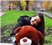 Фото в Для детей Детские игрушки Милый плюшевый мишка! Отличный подарок на в Москве 2 390