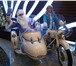 Фотография в Развлечения и досуг Организация праздников Позитивные и веселые Дед Мороз и Снегурочка в Казани 1 600