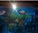 Изображение в Домашние животные Рыбки Продается аквариум на 500 литров с тумбой в Москве 40 000