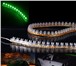 Foto в Авторынок Лампы светодиодные Светодиодная продукция с гарантией в 1 год!АвтолампыДХОПТФПодсветка в Томске 10