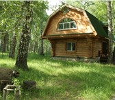 Foto в Недвижимость Загородные дома Сдается бревенчатый дом со всеми удобствами, в Челябинске 5 000