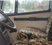 Изображение в Авторынок Грузовые автомобили Срочно продаю грузовик Мерседес «609 D». в Волгограде 160 000
