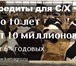 Фото в Домашние животные Другие животные Продажа КРС оптом живым весом по Рф и СНГ, в Москве 198