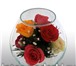 Foto в Мебель и интерьер Другие предметы интерьера Натуральные цветы в вакуумных вазах - идеальный в Москве 500