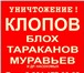 Изображение в Прочее,  разное Разное Уничтожение клопов, тараканов и др.насекомых. в Екатеринбурге 1 000