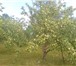 Изображение в Недвижимость Продажа домов На первой линии реки Шелонь недорого продается в Санкт-Петербурге 650 000