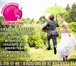 Foto в Развлечения и досуг Организация праздников Свадебное агентство Розовый слон предоставляет в Солнечногорск 1 000