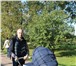 Фотография в Для детей Детские коляски Коляска (два в одном - люлька и прогулочный в Санкт-Петербурге 5 000