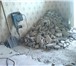 Фото в Авторынок Пневматический  Услуга отбойного молотка;слом стен,перегородок,перепланировка в Геленджик 1 000