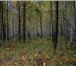 Foto в Недвижимость Земельные участки Предлагаются земельные участки в населенном в Екатеринбурге 250 000