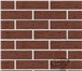 Фотография в Строительство и ремонт Строительные материалы Цвет:коричневыйОттенок:однотонныйПоверхностьрифлёнаяТип в Грайворон 22