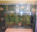 Фото в Домашние животные Рыбки Продам аквариум 35 литров к нему прилагаются в Братске 3 000