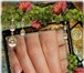 Фото в Красота и здоровье Косметические услуги Наращивание ногтей по любой технологии: акрил, в Дзержинске 800