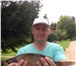 Фотография в Хобби и увлечения Рыбалка Сдаются домики в Лужском районе на озере в Санкт-Петербурге 700