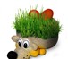 Фото в Домашние животные Растения ООО АКК “Вариант” (г.Днепропетровск, Украина в Москве 120