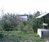 Foto в Недвижимость Загородные дома Продам дачу в с/о "Липовый остров" (6 км. в Тюмени 800 000