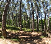 Foto в Недвижимость Земельные участки Цена на участок в Ялте район Горный сниженаПредлагаю в Ялта 3 300 000