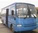 Автобус паз 3204 1823242 Другая марка Другая модель фото в Москве