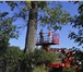Фотография в Строительство и ремонт Разное Занимаемся спилом деревьев с оттяжкой и подвешиванием, в Калуге 0