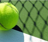 Foto в Спорт Спортивные школы и секции Теннисный цент "TennisStar" приглашает детей в Ставрополе 2 200
