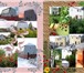 Фотография в Недвижимость Продажа домов Телевизор пестрит рекламой лекарств.А знаете,что в Санкт-Петербурге 3 000 000